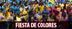 coloresicon